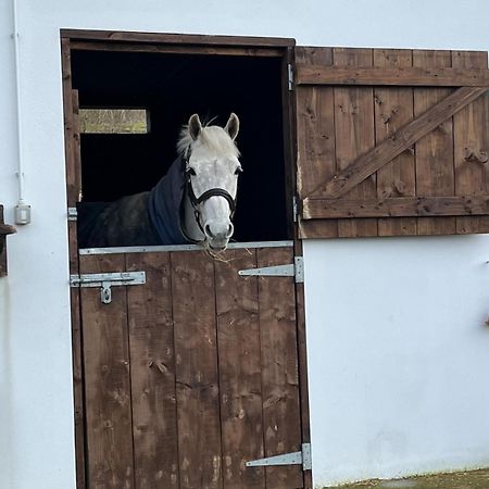 Appartamento Toddys Hideaway Cavan Esterno foto