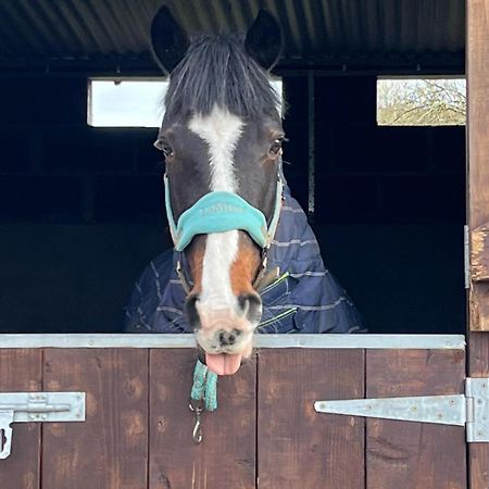 Appartamento Toddys Hideaway Cavan Esterno foto