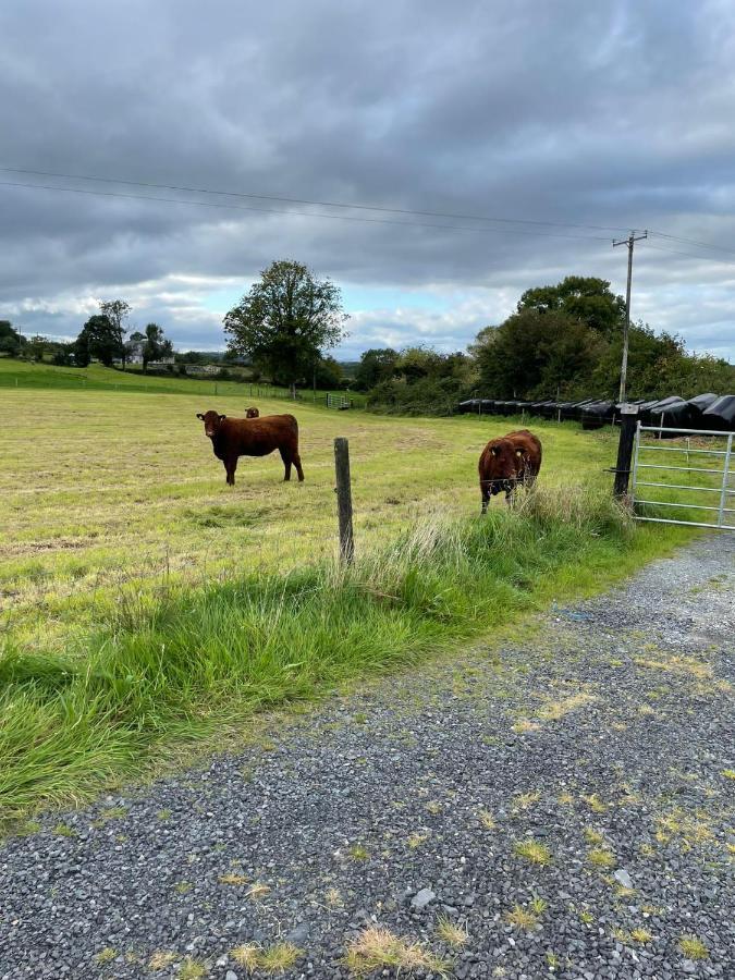 Appartamento Toddys Hideaway Cavan Esterno foto
