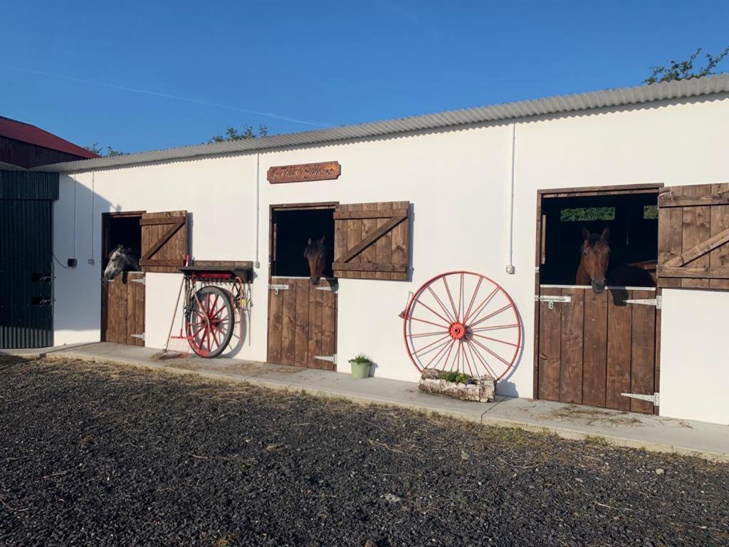 Appartamento Toddys Hideaway Cavan Esterno foto