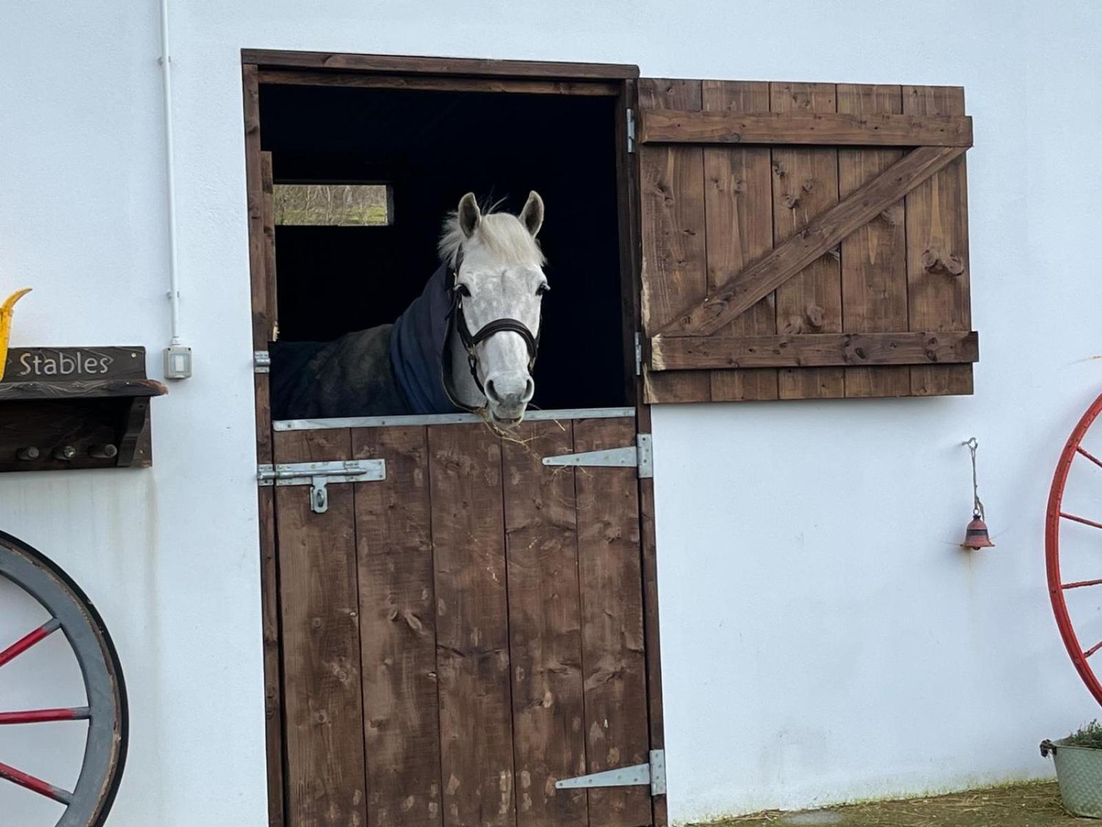 Appartamento Toddys Hideaway Cavan Esterno foto